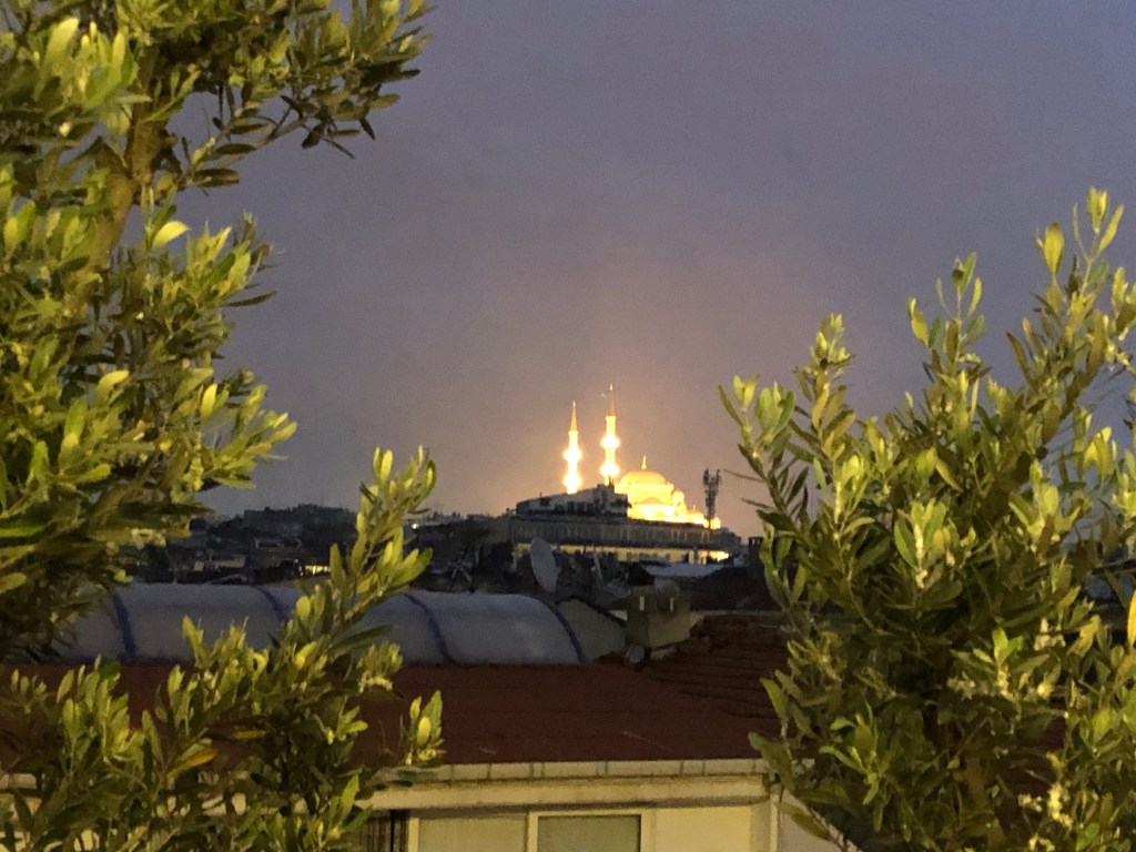 Questa immagine ha l'attributo alt vuoto; il nome del file è img_0146.jpeg